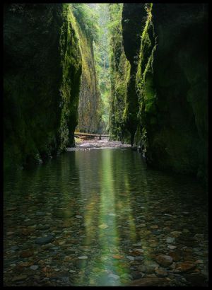 татьяна рахимова