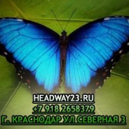 headway23