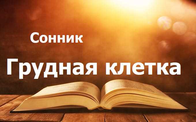 Грудная клетка