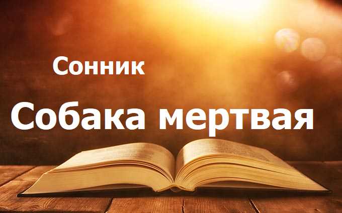 Собака мертвая