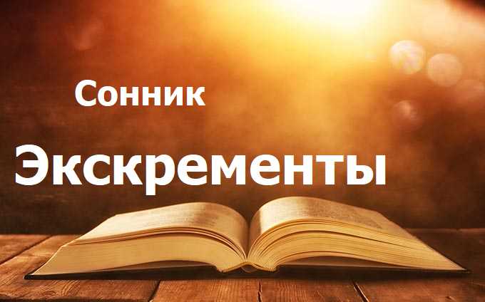 Экскременты