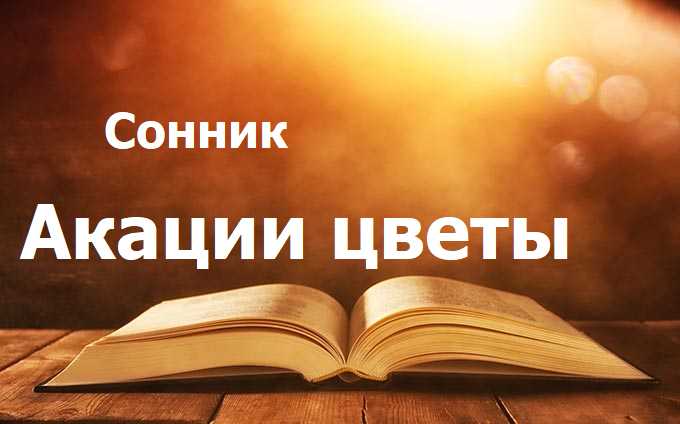 Акации цветы