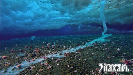 "Ледяной палец смерти" - необычный феномен в Антарктике