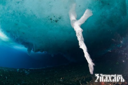 "Ледяной палец смерти" - необычный феномен в Антарктике